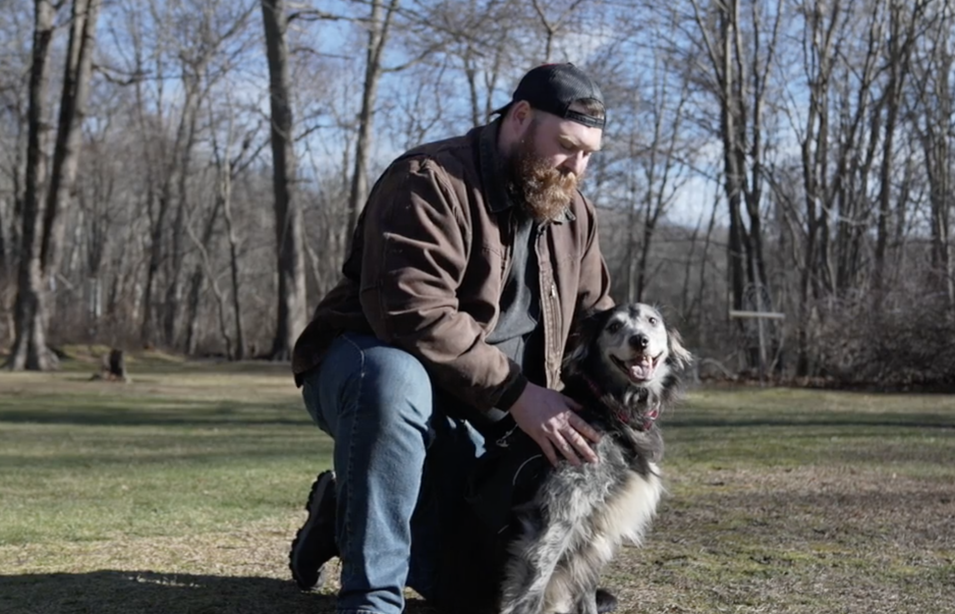 Could dogs be the key to curing childhood cancer? - Vimarsana News